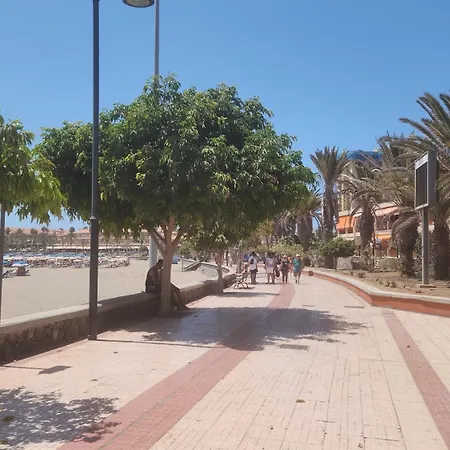 Tms Veramar Hotel,beachfront,pool&parking Apartment *