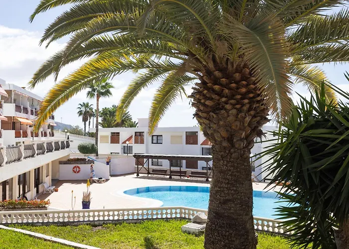 Apartment Tms Veramar Hotel,beachfront,pool&parking Los Cristianos (Tenerife)